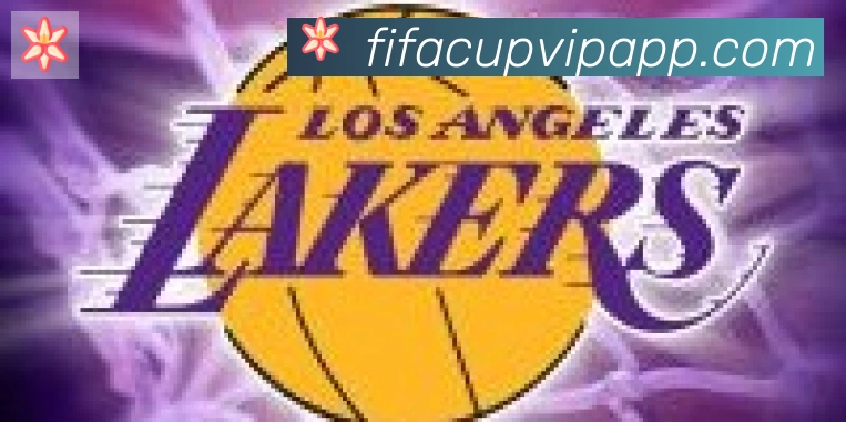 美加墨世界杯客户端下载合作伙伴